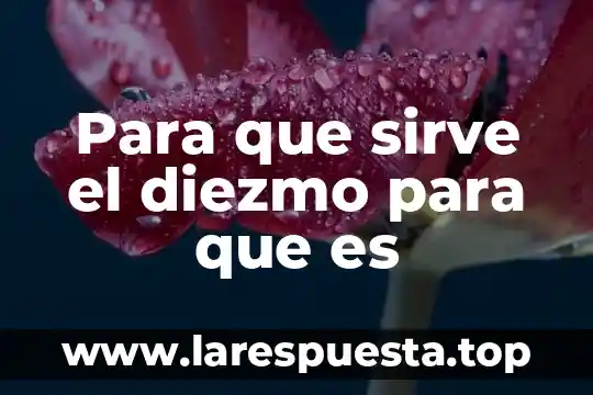 Que es y para que sirve el potencial de accion 4 Para que sirve el diezmo para que es