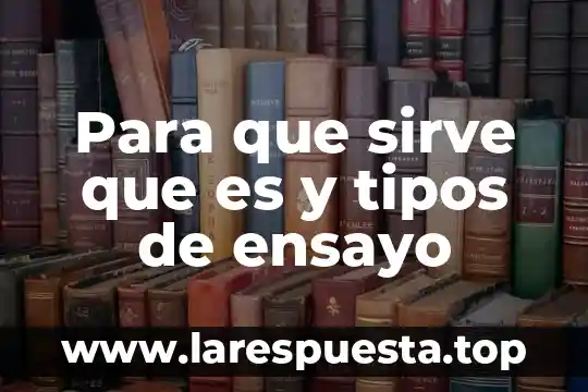 Para que sirve que es y tipos de ensayo