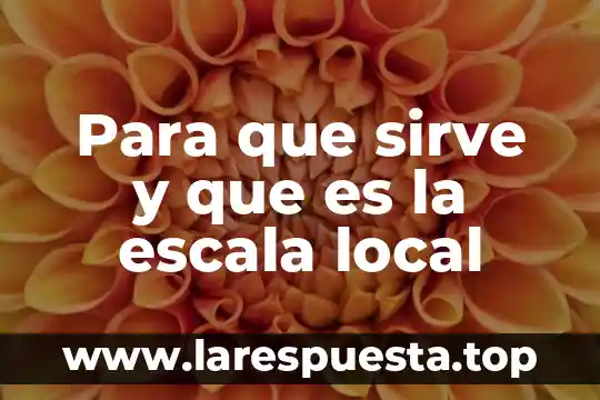 Para que sirve y que es la escala local