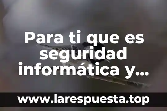Que es la monarquia y en que paises se aplica 5 Para ti que es seguridad informática y donde se aplica