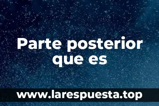 Parte posterior que es