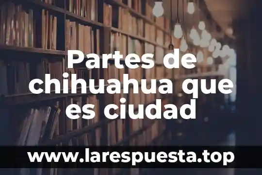 Partes de chihuahua que es ciudad