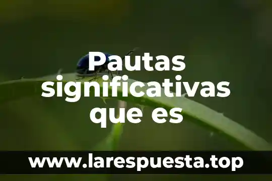 Pautas significativas que es