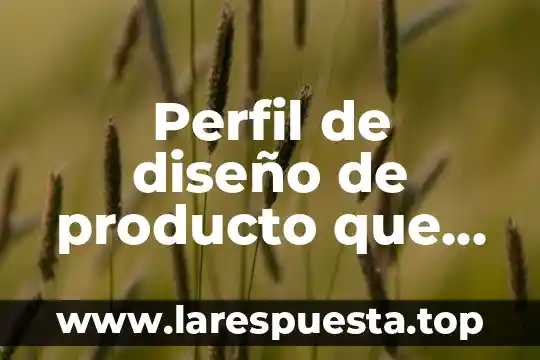 Que es producto segun laura fischer 7 Perfil de diseño de producto que es