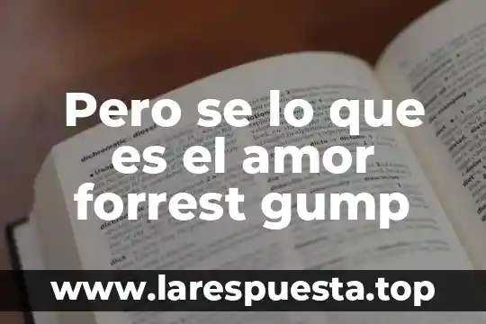 Amor geek que es 8 Pero se lo que es el amor forrest gump
