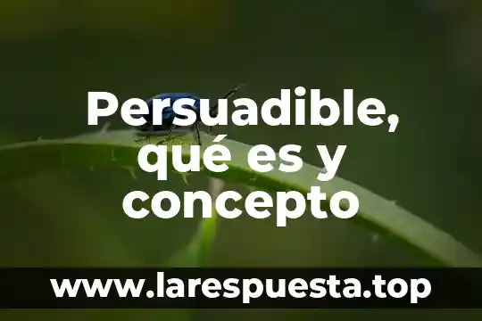 Persuadible, qué es y concepto