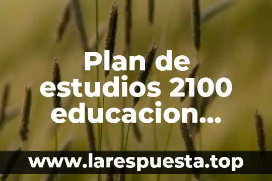 Plan de estudios 2100 educacion basica que es la rieb