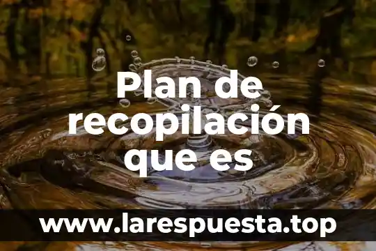 Plan de recopilación que es