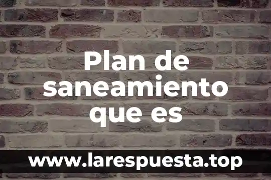Plan de saneamiento que es