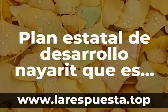 Centro estatal de salud mental que es 7 Plan estatal de desarrollo nayarit que es la educación