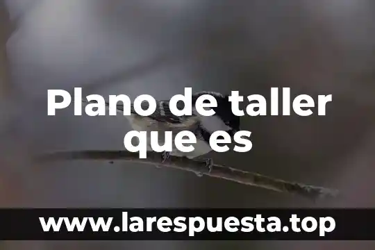 Que es nivel educativo tipo de servicio asignatura o taller 4 Plano de taller que es