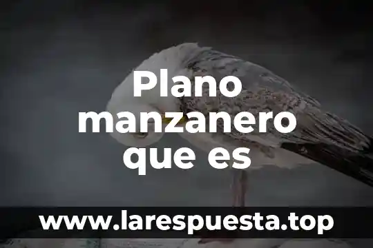 Plano manzanero que es