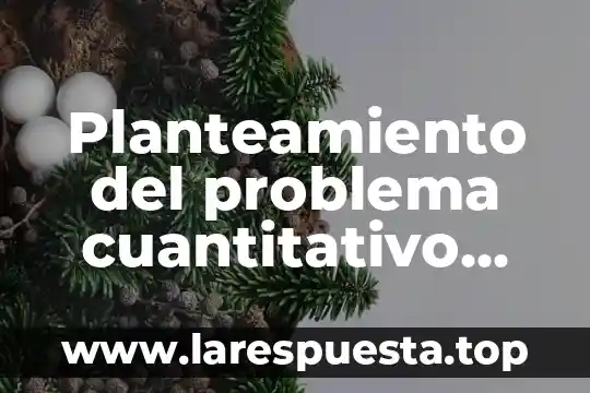 Planteamiento del problema cuantitativo que es