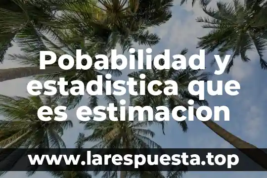 Pobabilidad y estadistica que es estimacion