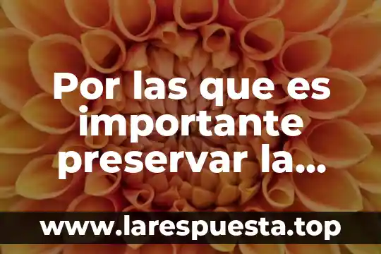 Ley del patrimonio natural y de la biodiversidad que es 6 Por las que es importante preservar la biodiversidad