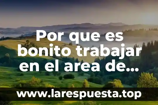 Arte que es bonito ejemplo 7 Por que es bonito trabajar en el area de servicios