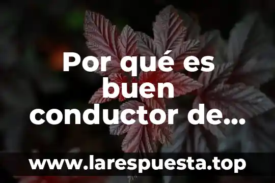 Que es resistencia eléctrica de un conductor 8 Por qué es buen conductor de calor el tantalio