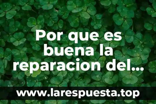 Que es el daño fisico 6 Por que es buena la reparacion del daño