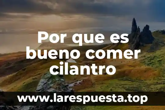 Que es comer comida chatarra 7 Por que es bueno comer cilantro