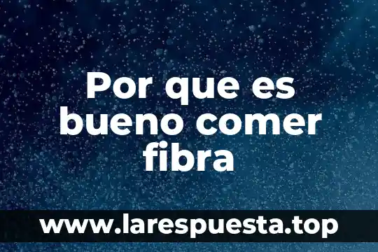 Que es comer comida chatarra 5 Por que es bueno comer fibra