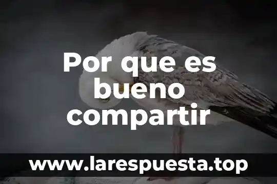 Dengue qué es bueno 8 Por que es bueno compartir