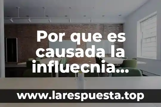 Que es bueno para la sordera causada por la gripe 6 Por que es causada la influecnia estacional