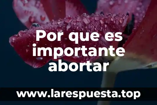 Por que es importante la integracion cultural 7 Por que es importante abortar