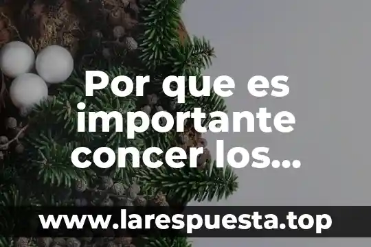 Que es tipologia mapas conceptuales 4 Por que es importante concer los mapas