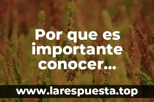 Por que es importante conocer empresas de alojamientos como estudiantes