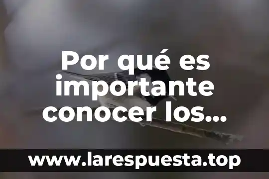 Por que es necesario conocer la ecologia 5 Por qué es importante conocer los edificios antiguos
