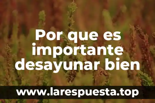 Que es un bien un producto y un servicio 3 Por que es importante desayunar bien