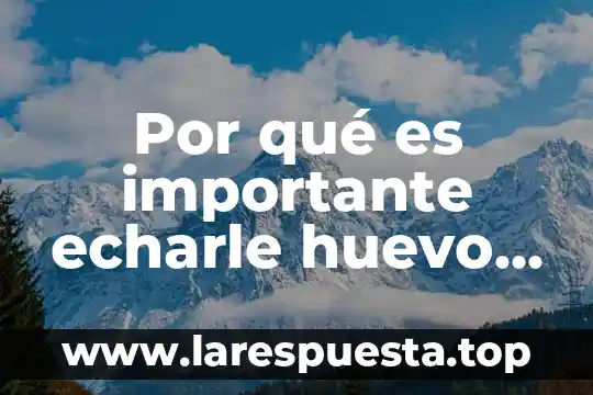 Que es un huevo retenido 3 Por qué es importante echarle huevo crudo a las albondigas