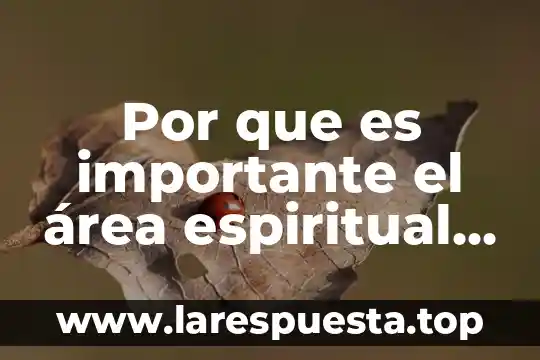 Por que es importante la filosofia en nuestra vida diaria 6 Por que es importante el área espiritual es nuestra vida