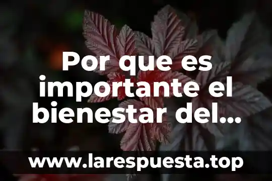 Por que es importante el bienestar del recien nacido