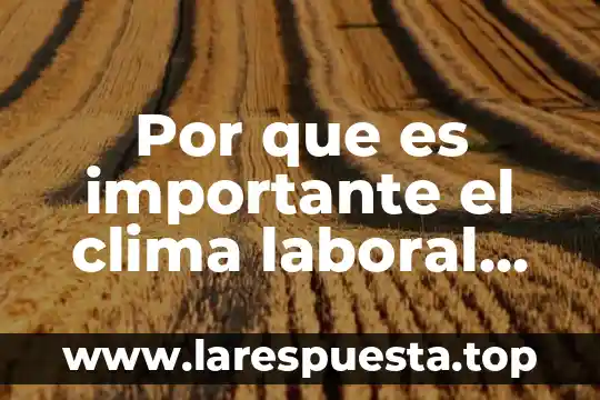 Que es el clima espacial libros 3 Por que es importante el clima laboral en una empresa