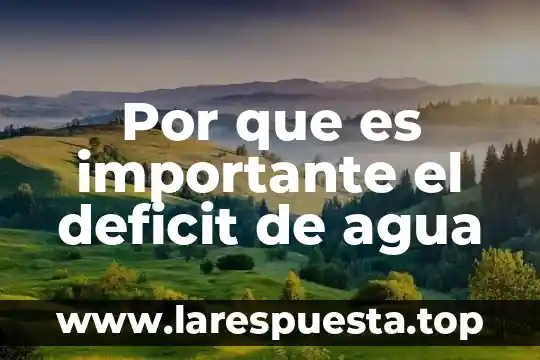 Por que es importante el hipertexto 4 Por que es importante el deficit de agua