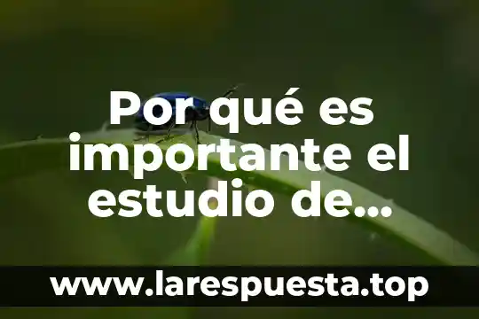 Por qué es importante el estudio de contabilidad de costos
