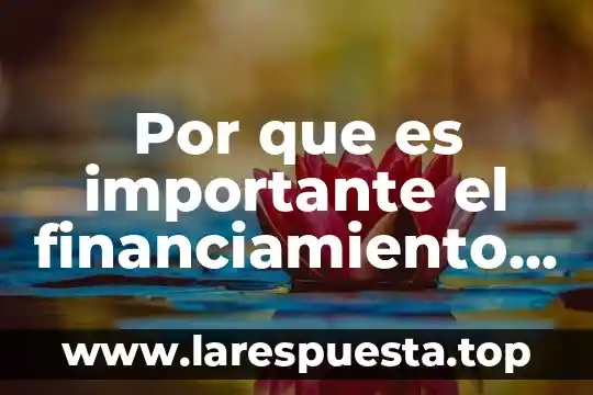 Por que es importantes la salud en la actualidad 4 Por que es importante el financiamiento en la actualidad
