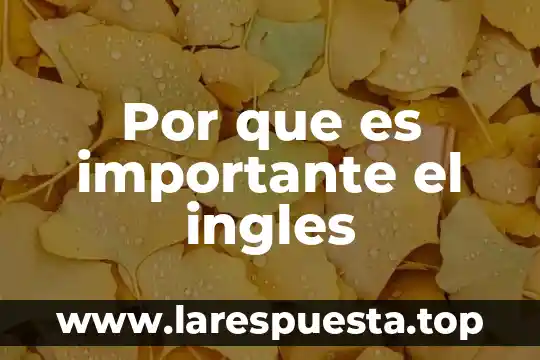 Por que es importante el ingles