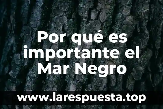 Por qué es importante el Mar Negro