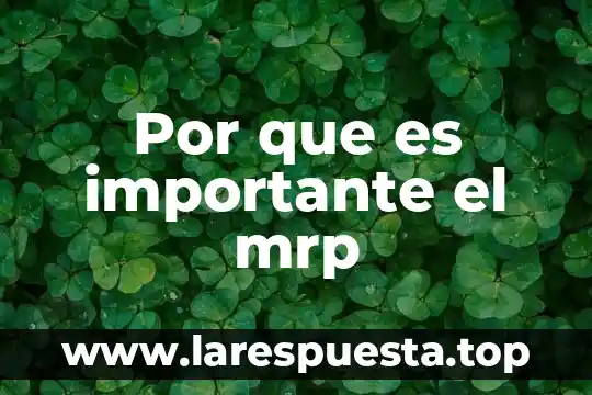 Por que es importante el mrp
