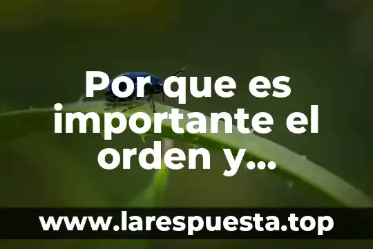Que es limpieza articular 5 Por que es importante el orden y limpieza