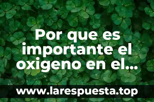 Que es la variable oxigeno disuelto industria 5 Por que es importante el oxigeno en el aire