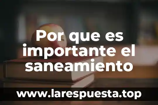 Por que es importante el saneamiento