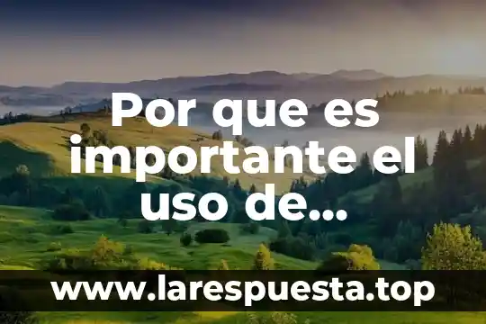 Que es el valor del uso 8 Por que es importante el uso de herramientas de texto
