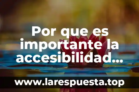 Que es liberacion de espacio 4 Por que es importante la accesibilidad en un espacio público
