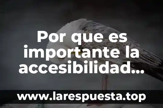Por que es importante la accesibilidad para usuarios