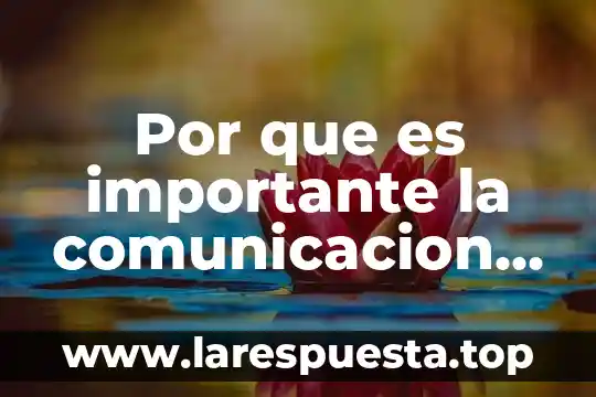 Por que es importante la comunicacion ensayo