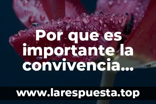 Sistema escolar prusiano que es 5 Por que es importante la convivencia escolar
