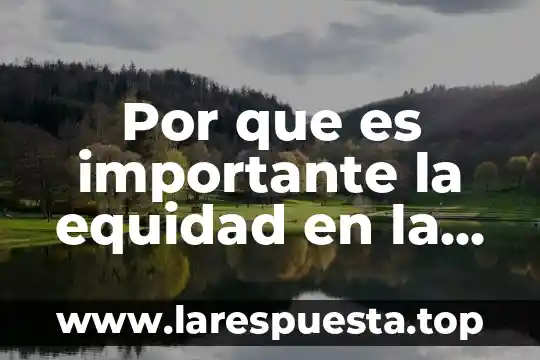 Que es equidad social en guatemala 3 Por que es importante la equidad en la economia